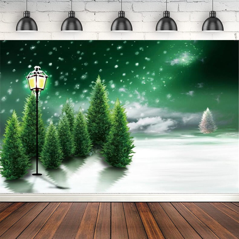 Photography Backdrop Winter Sn - Photography Lighting White Background 评论和价格