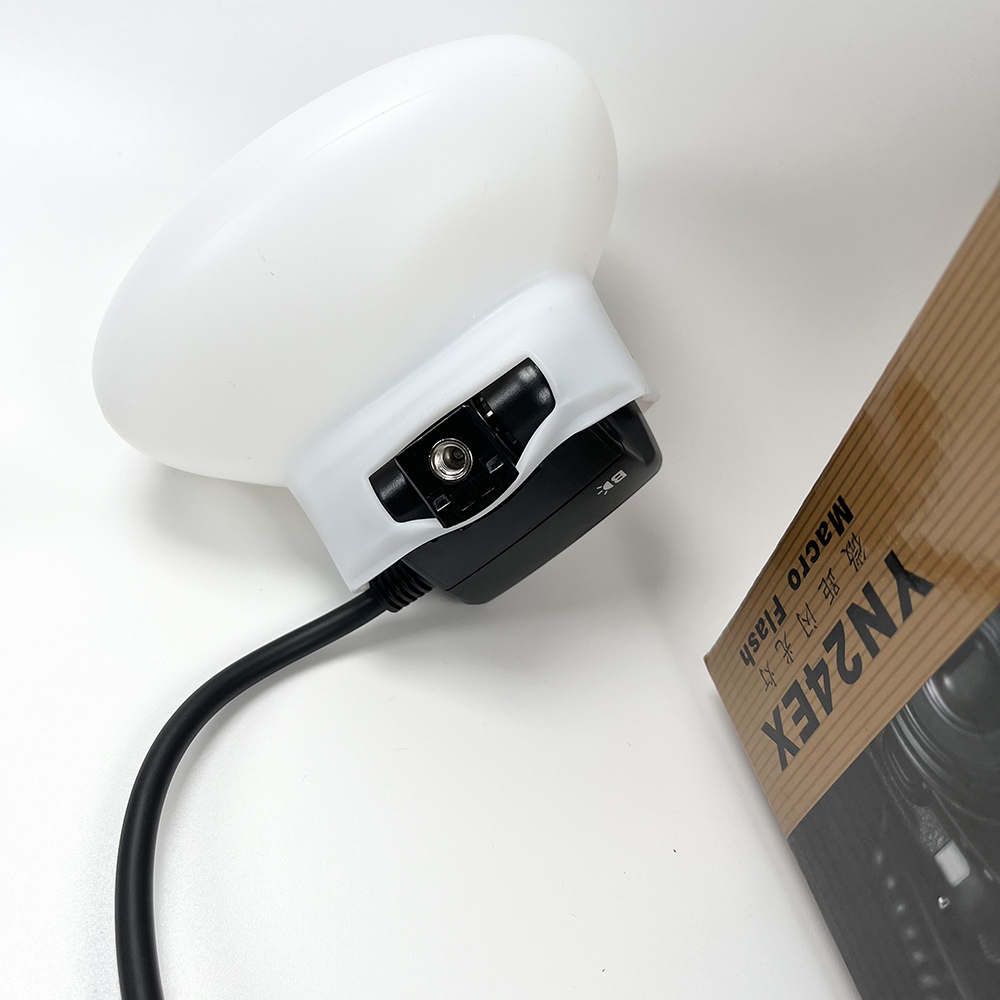 2pcs Softbox Dual Head Flash L - Photography Lighting Godox 评论和价格