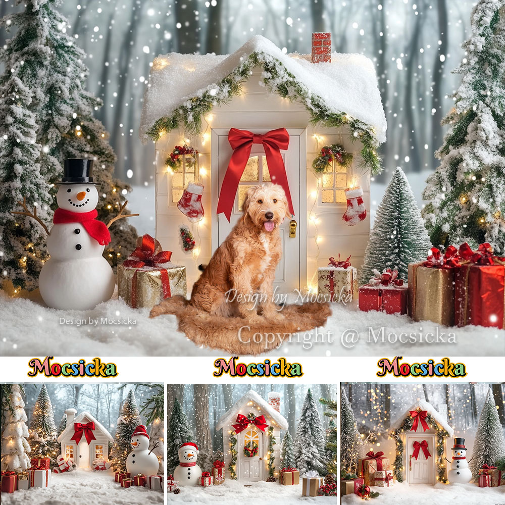 Mocsicka White Christmas House - Photography Lighting White Background 评论和价格